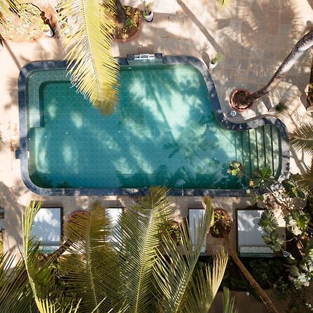 Altr Nativ Morjim, Goa Hostel Eksteriør bilde